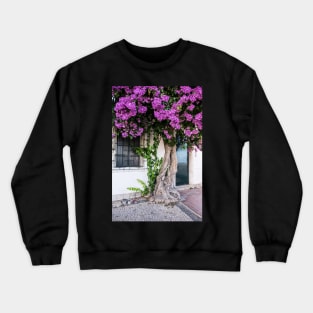 Old bougainvillea with pink blossom Crewneck Sweatshirt